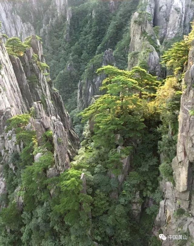 苏州吴中区再添全国示范性老年友好型社区,看看吧
